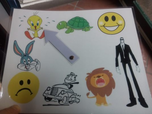 Pron wheel made by our YLC