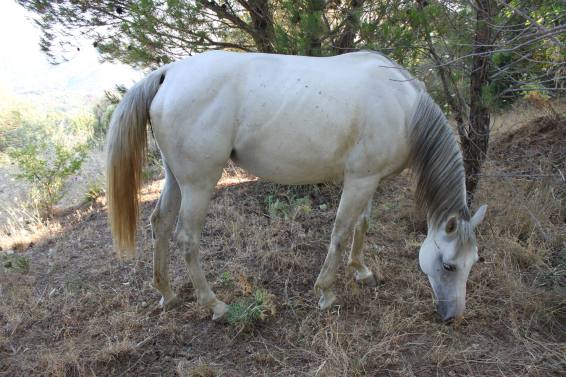 11713262_10207305182607387_130819224_o